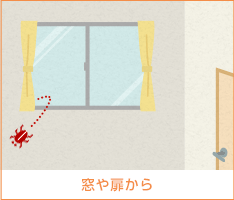 ゴキブリ駆除,ごきぶり駆除,害虫･害獣駆除４