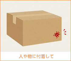 ゴキブリ駆除,ごきぶり駆除,害虫･害獣駆除５