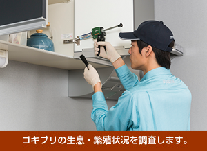 ゴキブリ駆除,ごきぶり駆除