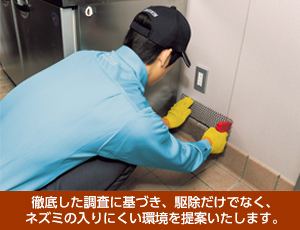 ねずみ駆除,ネズミ駆除２