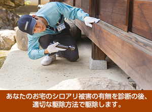 白あり駆除,シロアリ駆除,しろあり駆除,害虫･害獣駆除